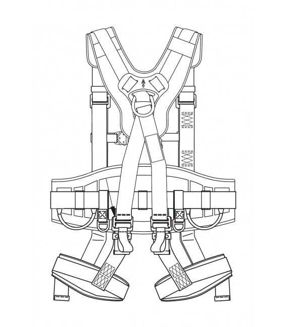 Harness - Rear view