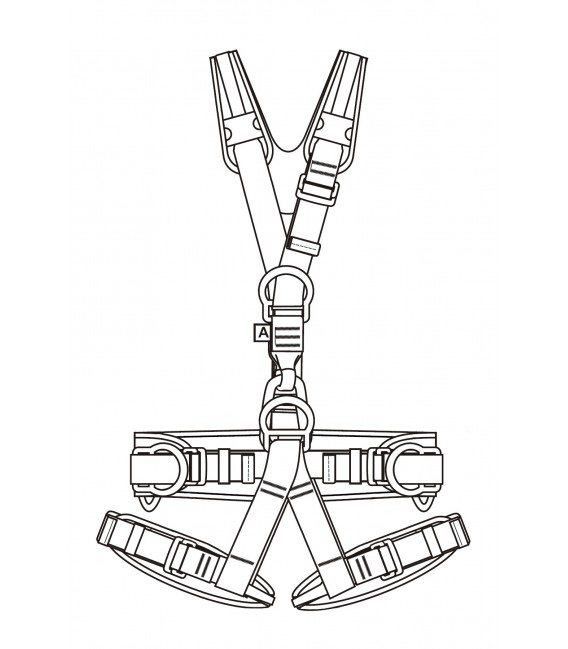 Harness - Rear view