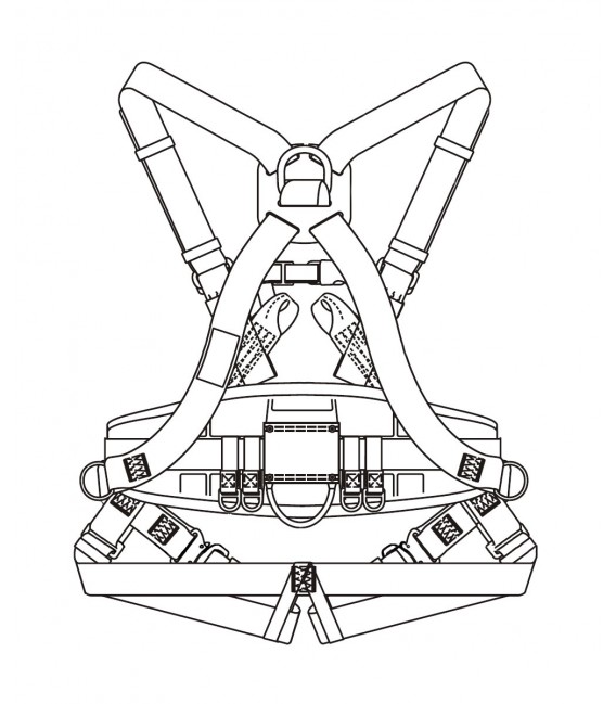 Harnais - Vue arrière