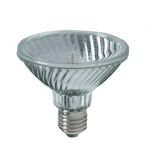 RALOGEN PAR30 SP