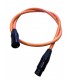 Câble XLR