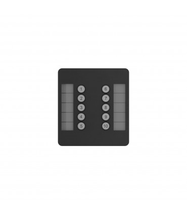 SnakeSys 10Scene Wall Plate