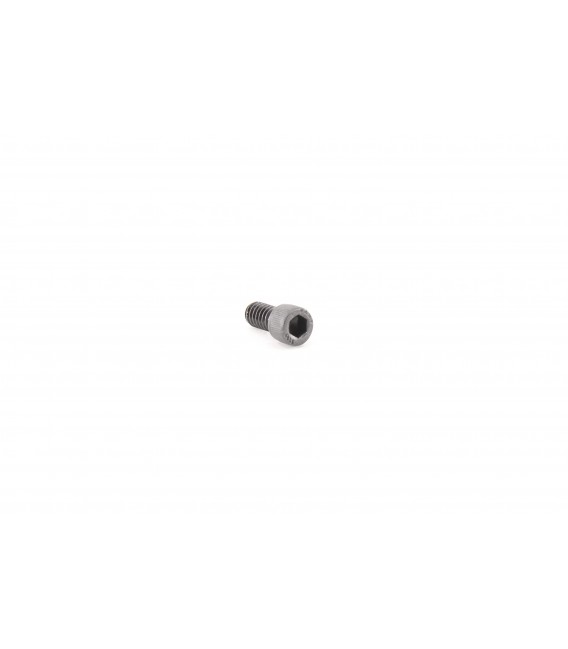 Dead End Plate Screw - 73715