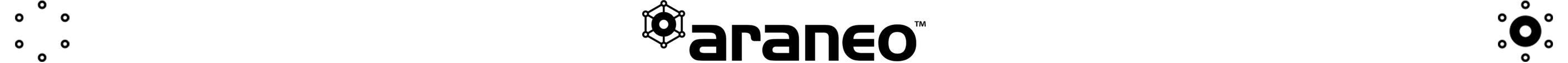 Araneo_logo-510x111.jpg