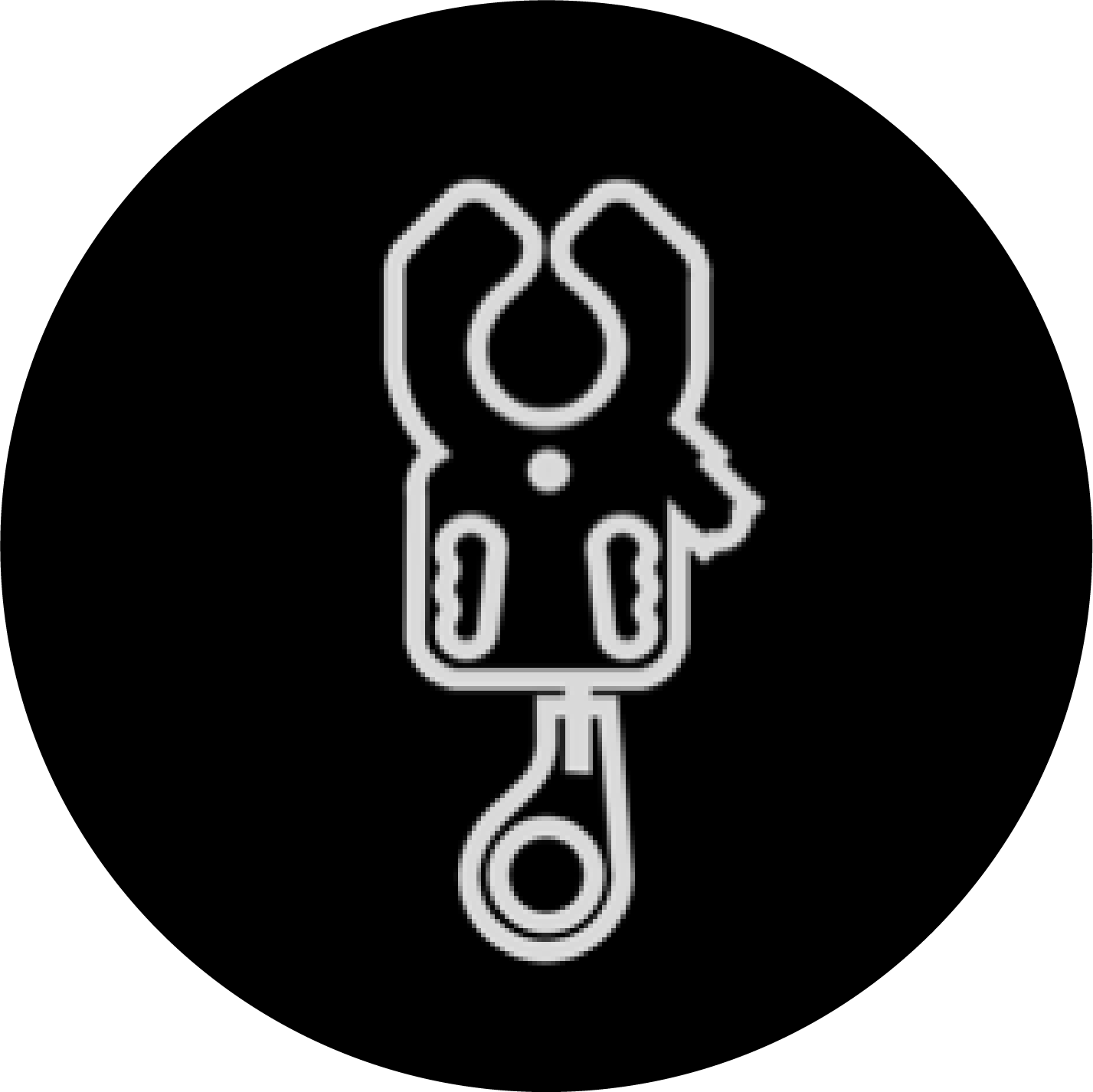 roly-t-icon